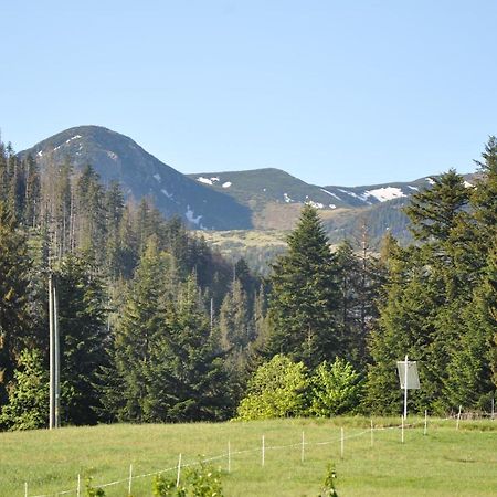 Apartamenty "U Blizniakow" Zakopane Exteriér fotografie