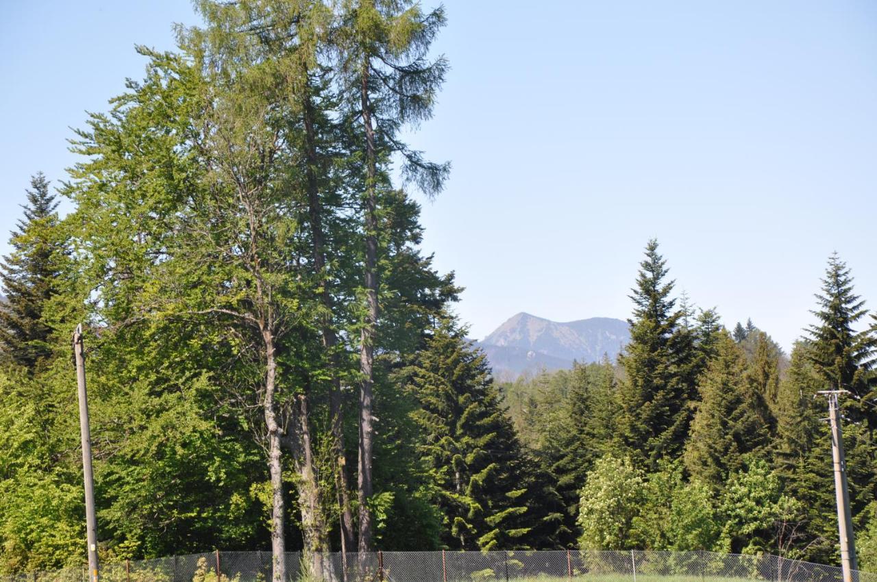 Apartamenty "U Blizniakow" Zakopane Exteriér fotografie