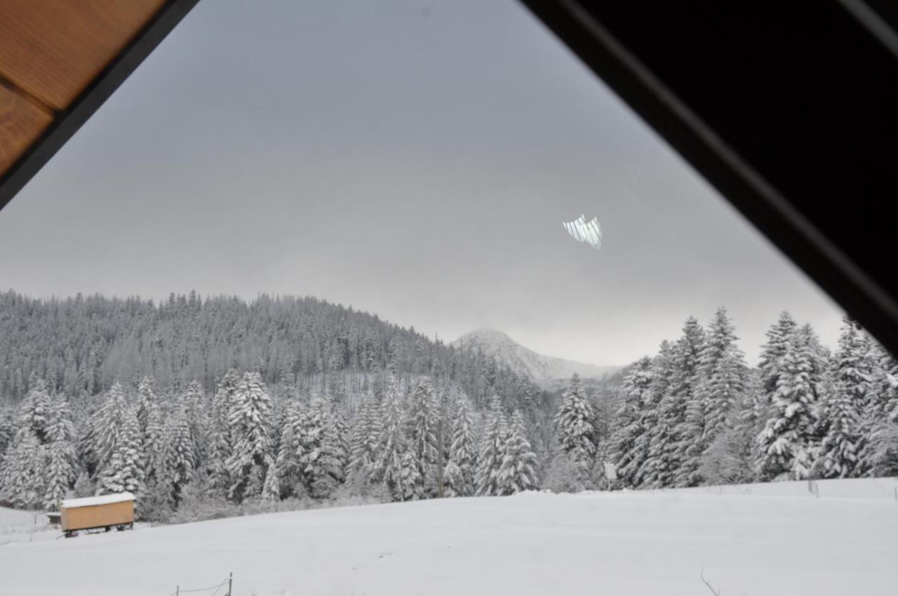 Apartamenty "U Blizniakow" Zakopane Exteriér fotografie
