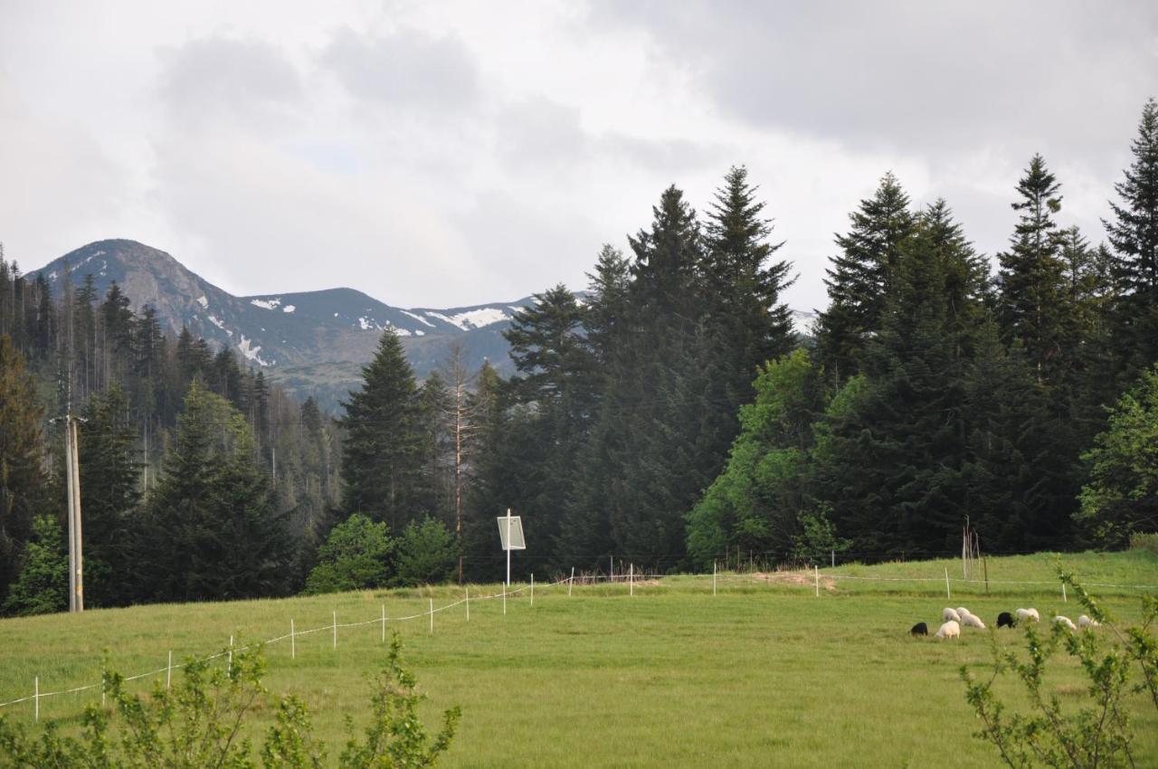 Apartamenty "U Blizniakow" Zakopane Exteriér fotografie