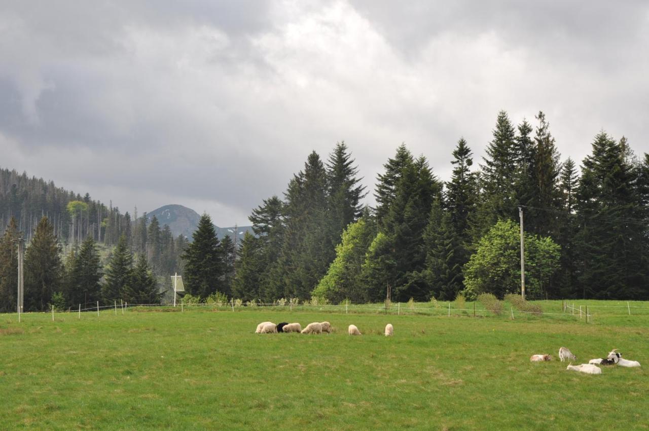 Apartamenty "U Blizniakow" Zakopane Exteriér fotografie