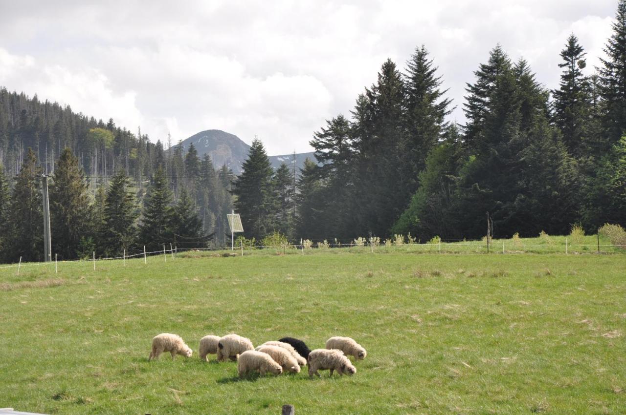 Apartamenty "U Blizniakow" Zakopane Exteriér fotografie