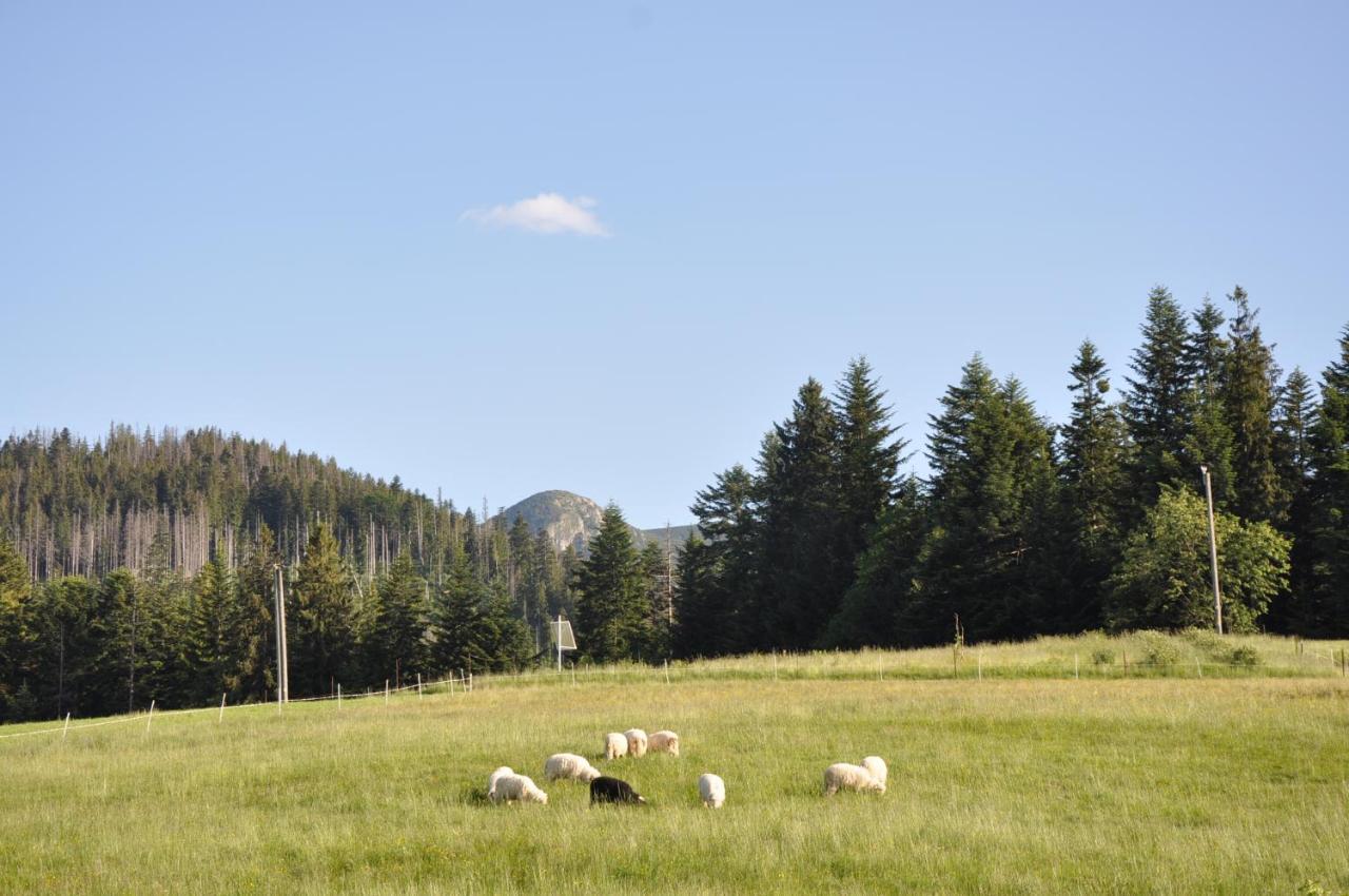 Apartamenty "U Blizniakow" Zakopane Exteriér fotografie